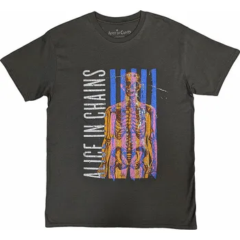 Pánská móda Alice in Chains tričko, Skeletal Stone Wash Charcoal Grey, pánské L