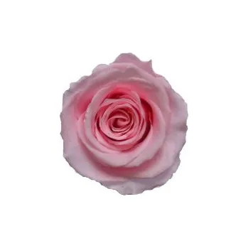 Kytice Thea (Vázaná kytice ze stabilizovaných rostlin - vydrží až 730 dní)