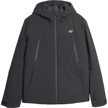 Pánské oblečení Pánská zimní bunda 4F TECHNICAL JACKET L Černá, Stříbrná
