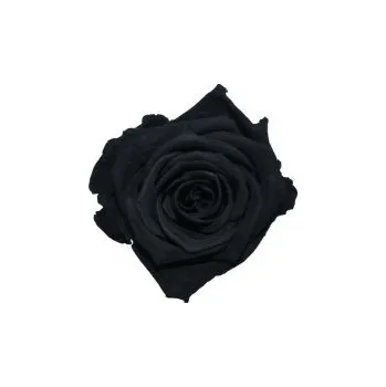 Kytice Thea (Vázaná kytice ze stabilizovaných rostlin - vydrží až 730 dní)