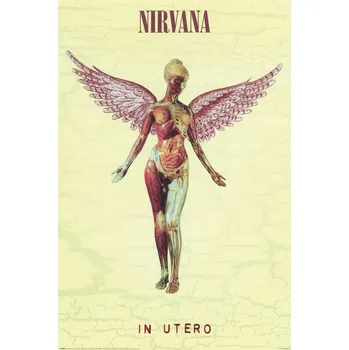 Obraz plakát NIRVANA IN UTERO 61x91,5 cm