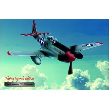 Obraz Cedule Letadlo North American P-51 D Mustang