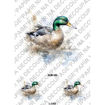 Umělecký papír Rýžový a soft papír na decoupage - Kachna - KB03305 Materiál: Soft, Rozměr: A4