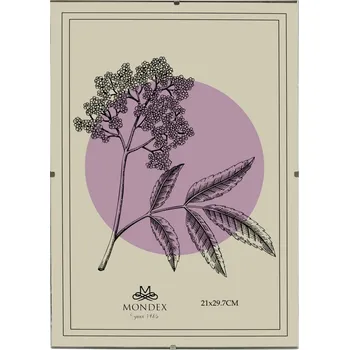 Obraz Rámeček na jedno foto Mondex 30 x 22 cm