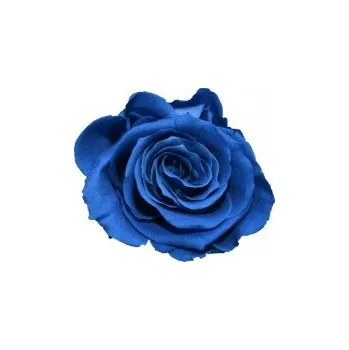 Kytice Viola (Vázaná kytice ze stabilizovaných rostlin - vydrží až 730 dní)