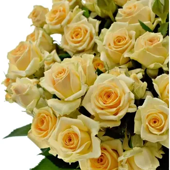umělá květina Žlutá růže trsová TRINITY 40cm/4+