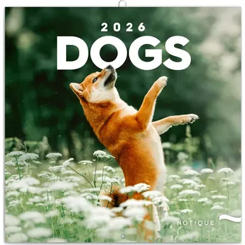 Kalendář Notique Nástěnný poznámkový kalendář psi 2026