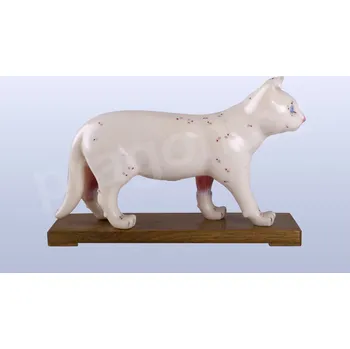 Akupunkturní model kočka, 28cm - akumodel