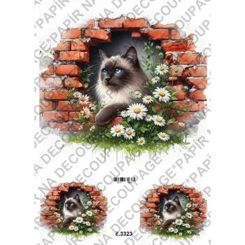 Výtvarný papír Rýžový a soft papír na decoupage - Kočka v cihlovém okně - KB03323 Materiál: Rýžový papír, Rozměr: A4