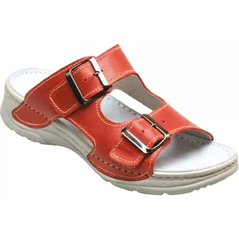 Pracovní oblečení SANTÉ D/10 / Dámské zdravotní pantofle - parot 37