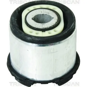 Zavěšení kol Zavěšení, tělo nápravy TRISCAN 8500 29873