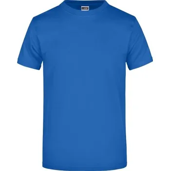 Pánské oblečení DAIBER JN 02 / Pánské tričko z těžké bavlny - royal L