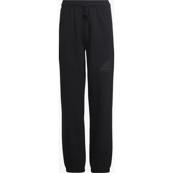 Chlapecké kalhoty adidas FUTURE ICONS LOGO 176