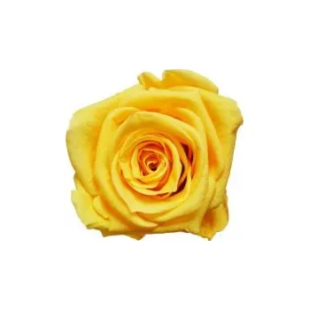 Kytice Thea (Vázaná kytice ze stabilizovaných rostlin - vydrží až 730 dní)