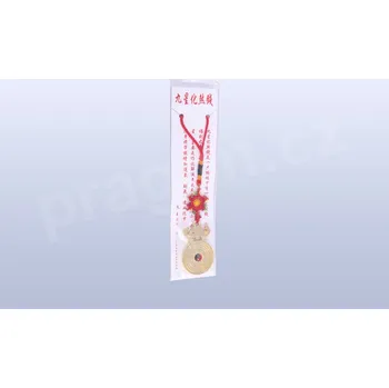 Ochranná plaketa Ba Gua B