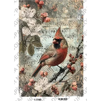 Výtvárné potřeby Rýžový a soft papír na decoupage - Vintage - KB03340 Materiál: Soft, Rozměr: A4