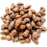 Carp Servis Václavík Tygří ořech XXL