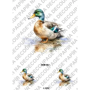 Umělecký papír Rýžový a soft papír na decoupage - Kachna - KB03302 Materiál: Soft, Rozměr: A4