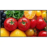 AG NEOVO MONITOR 43 QM-5503 4K UHD 3840X2160 HDMI 5000:1 24/7 500 cd/m2 RS232 RJ45 Anti-Burn-In USB-play