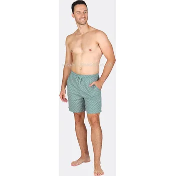 Pánské pyžamo EVONA Pyžamové kalhoty P-Yoda Barva: sv.zelená, Velikost: L