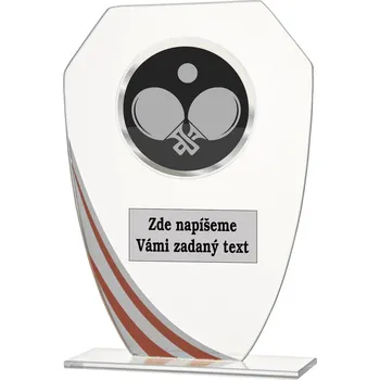 VIZINGR Stolní tenis sklo W191.08-AC020