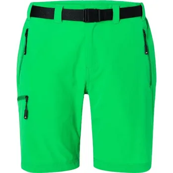 Pánské oblečení DAIBER JN 1204 / Pánské trekingové kraťasy - fern green XL