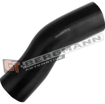 Turbodmychadlo Hadice plnícího vzduchu GT BERGMANN GT52-694