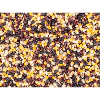 Krmivo pro ptáka Farma Markových Kukuřice barevná Hmotnost: 4 kg