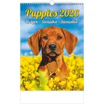 Helma365 Kalendář nástěnný Puppies 2026