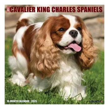 Kalendář Cavalier King Charles Spaniels 2026 12 X 12 Wall Calendar (Brožovaná)