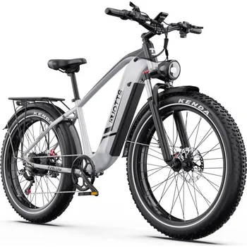 Elektrokolo Výkonný elektrická fatbike DUOTTS F26 Lite Stříbrná