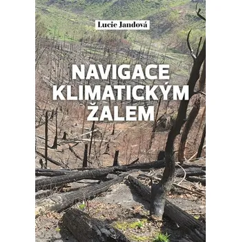 Navigace klimatickým žalem