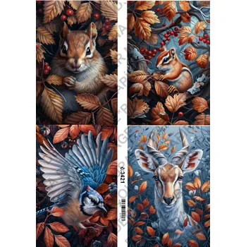 Výtvarný papír Rýžový a soft papír na decoupage - Animal zvířata - KB3421 Materiál: Rýžový papír, Rozměr: A4