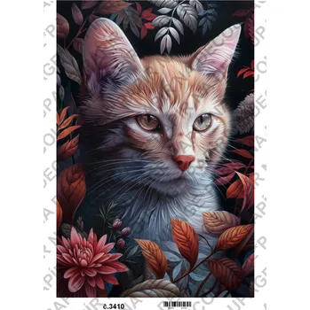 Výtvarný papír Rýžový a soft papír na decoupage - Animal zvířata - KB3410 Materiál: Rýžový papír, Rozměr: A4