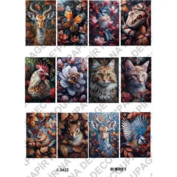 Umělecký papír Rýžový a soft papír na decoupage - Animal zvířata - KB3422 Materiál: Soft, Rozměr: A4