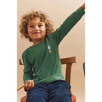 Chlapecké tričko Dětské bavlněné tričko s dlouhým rukávem Liewood Apia Placement Longsleeve T-shirt zelená barva, LW20213 LW20213.9BYA 77X, vel. 86-92