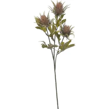 umělá květina Umělý bodlák s listy - hnědá 67 cm