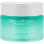 Mizon Cicaluronic Moisturizer krém 50 ml