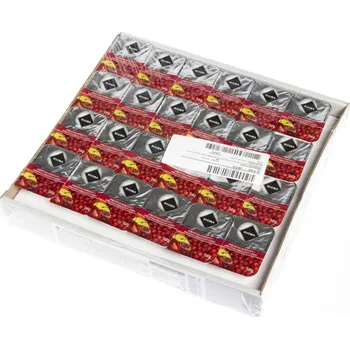 CZ distribuce RIOBA Džem rybíz porce 48 x 20 g