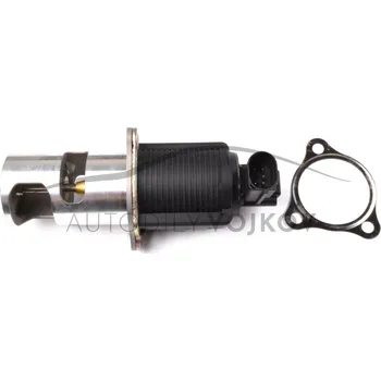 Váha vzduchu AGR - ventil HW Renault Laguna II 2001 - 2005 2.2 dCi - G9T