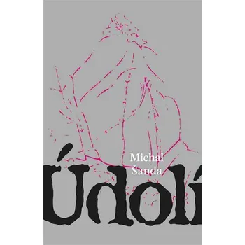 Údolí, 1. vydání brožovaná Michal Šanda