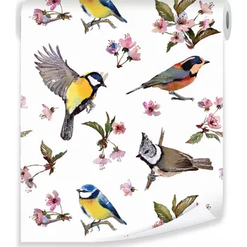 Tapeta Tapeta na zeď PTÁCI KVĚTY LISTY Tapety na Zeď