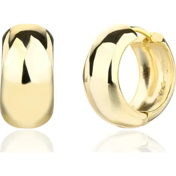 Šperk JVD Minimalistické pozlacené kruhové náušnice SVLE3380XJ6GO00 + 2 měsíce na vrácení zboží