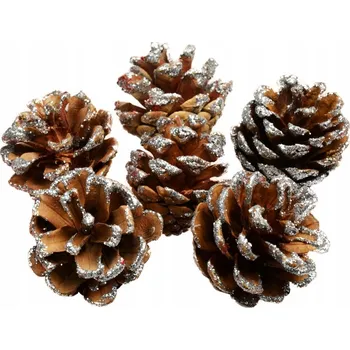 Vánoční dekorace Přírodní šišky se třpytkami 6 ks - Vánoční a zimní dekorace