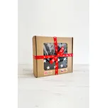 VFstyle dárková sada nahřívacího bederního pásu a polštářku