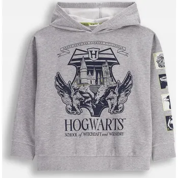 Chlapecká mikina Dětská Mikina HARRY POTTER Chlapecká Šedá Dárek 146 Coccodrillo ZC5