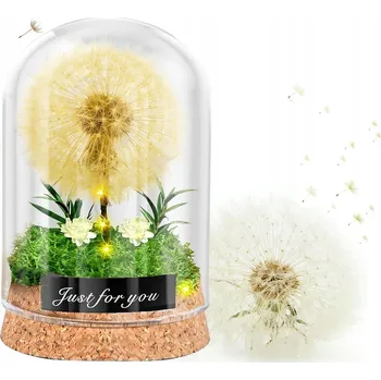 Lampička Lampiony přání pro dekoraci interiérů, pampelišky ve skle