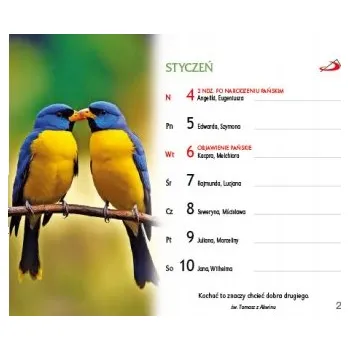 Kalendář Stolní kalendář 2026 Edycja Świętego Pawła - krajiny