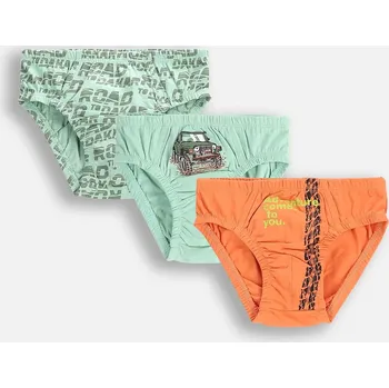 Chlapecké spodní prádlo Chlapecké Spodní Prádlo 3 balení Slipy pro chlapce 092/098 Coccodrillo WC5