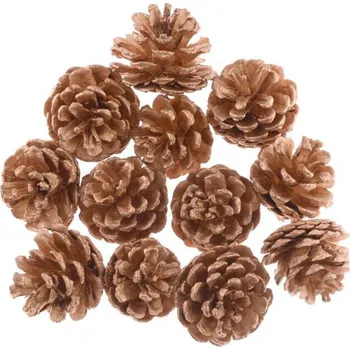 Vánoce Šišky borovice 12ks zlaté